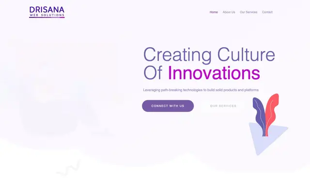 Drisana Web Solutions - search engine optimization (SEO) - Digital Marketing Agency website