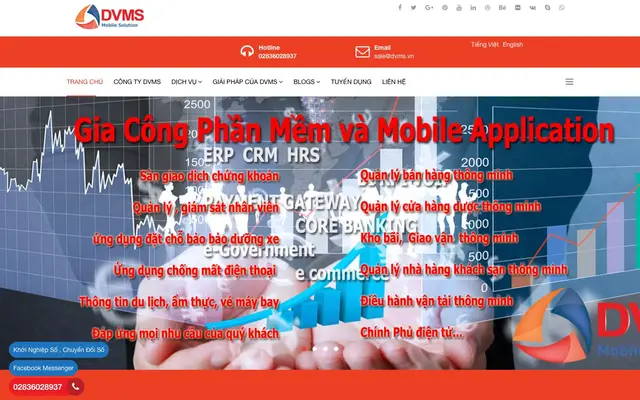 DVMS Co., Ltd website