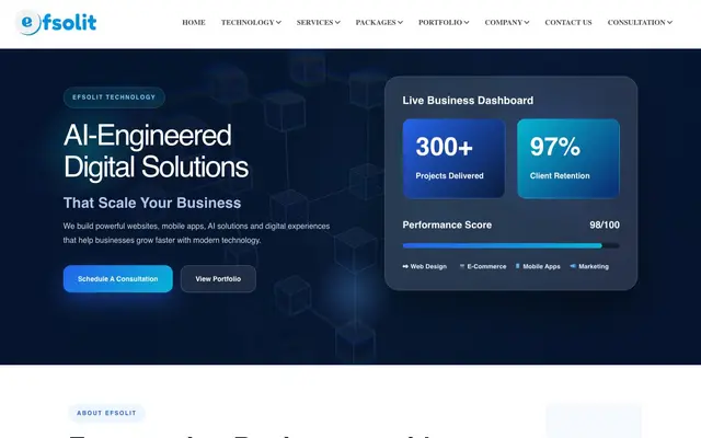 Efsolit Technology Private Limited website