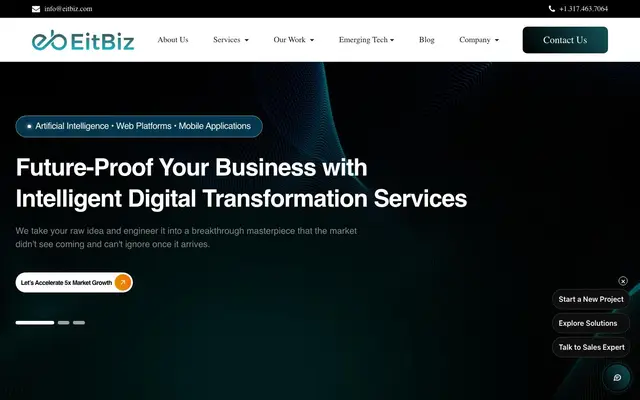 EitBiz website