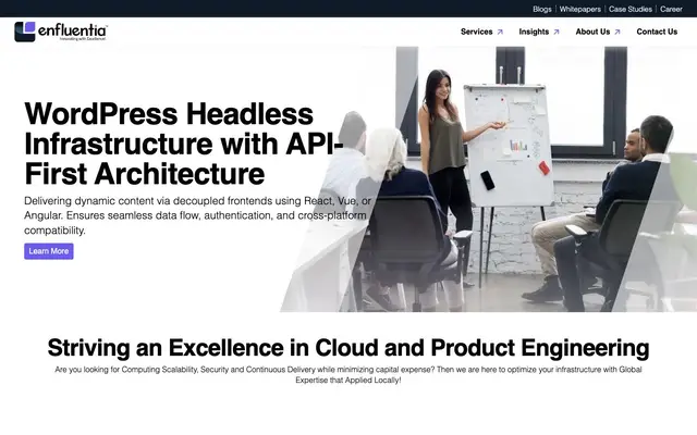 Enfluentia Technologies website