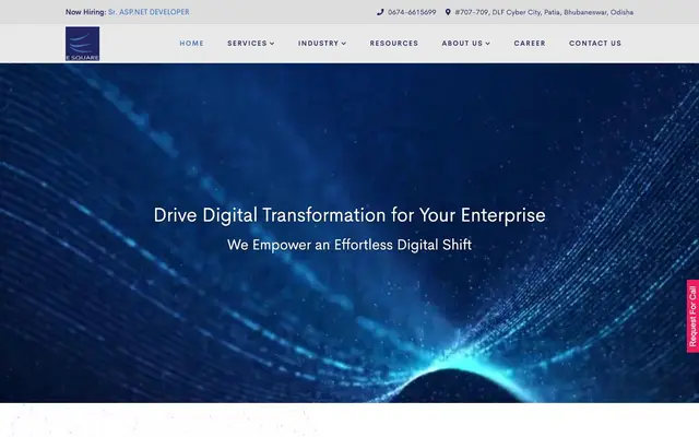 E Square System & Technologies Pvt Ltd website