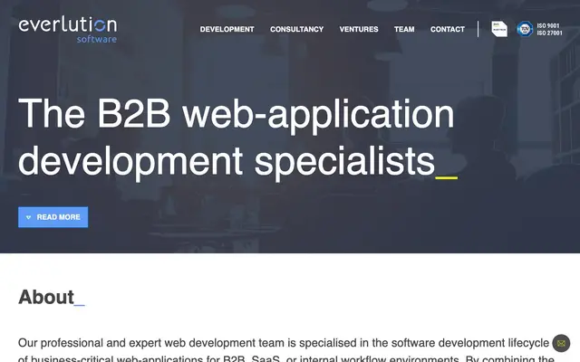 Everlution Software Ltd. website
