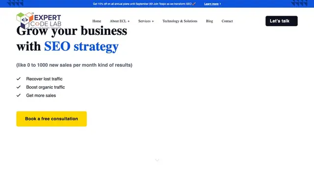 Expert Code Lab website