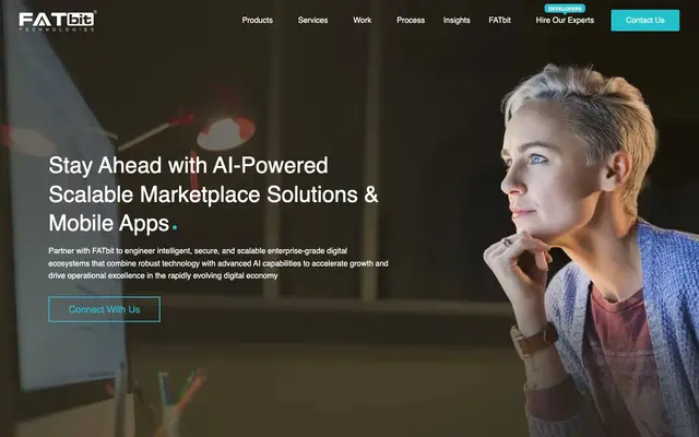 FATbit Technologies website