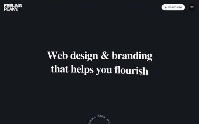 Feelingpeaky website