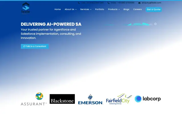 FEXLE Services Pvt. Ltd. - Salesforce Consulting Company website