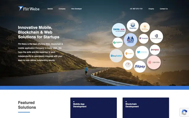 Flit Webs website