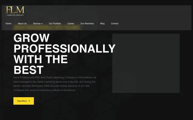 FLYING LION MEDIA PVT LTD website