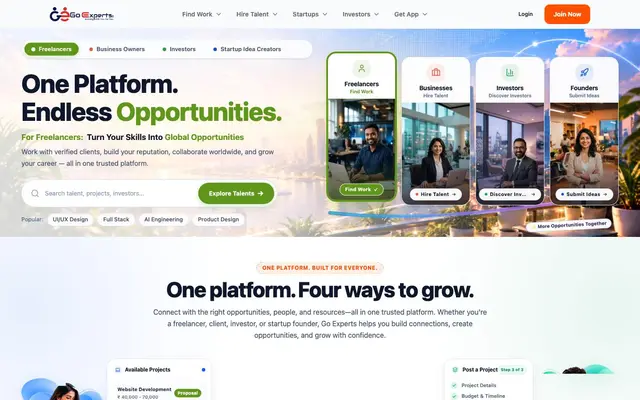 Go Experts website