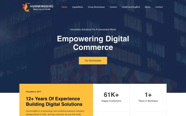 Hummingbird Web Solutions website