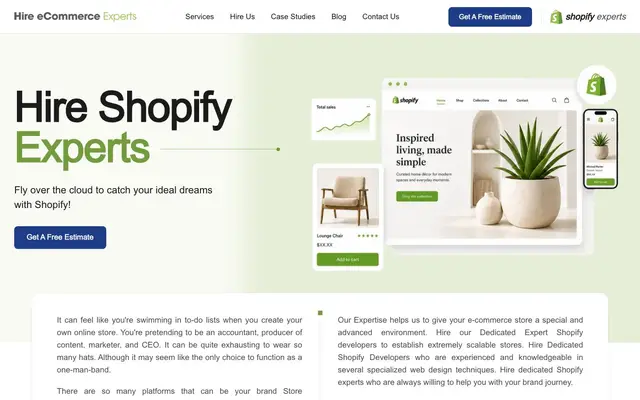 Hire Ecommerce Experts website