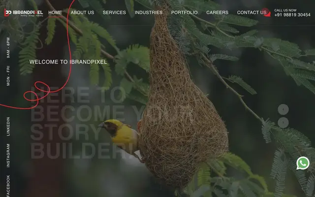 iBrandPixel Digital Agency LLP website