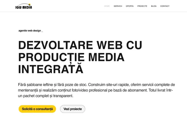 Iglu Media - Agenție web design website