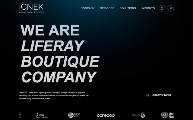 IGNEK - Liferay Boutique Company website
