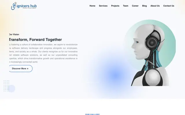 Igniters Hub Private Limited -Best Software Development and Salesforce.com development Company website