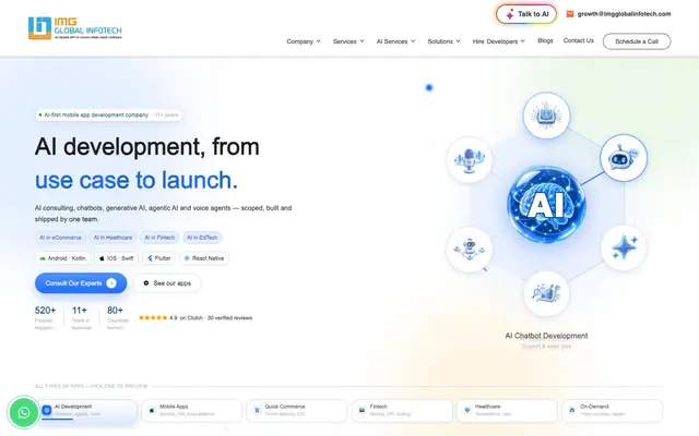 IMG Global Infotech website