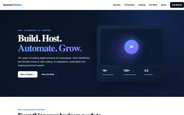 Immense Solutions website