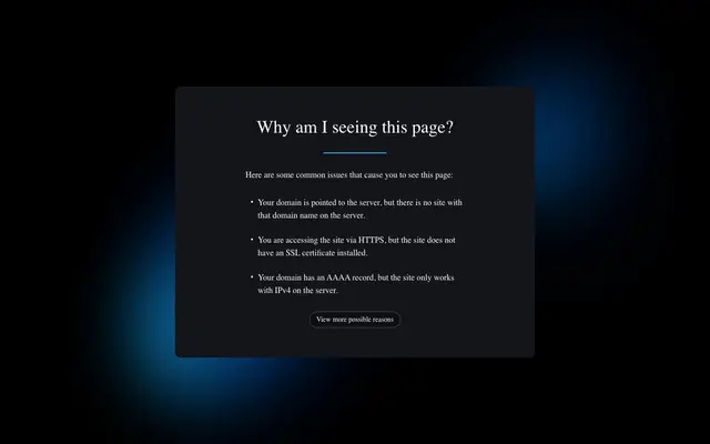 Intrepid IT Services website