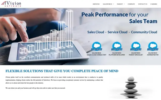 iVision Software website