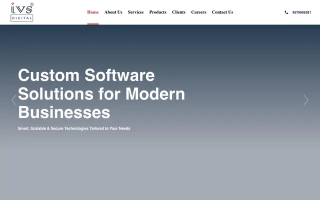 IVS SOFTWARE website
