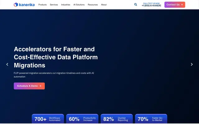 Kanerika Software Pvt Ltd. website