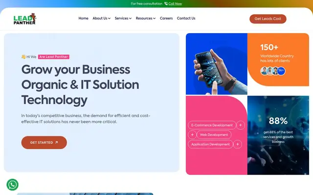 Lead Panther website