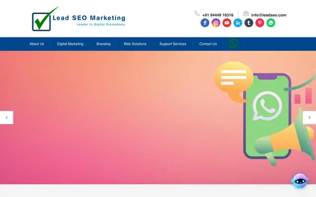 Lead SEO Marketing PVT LTD website