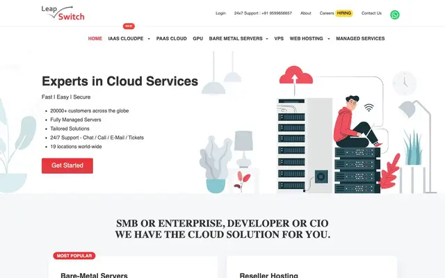 Leapswitch Networks Pvt. Ltd. website