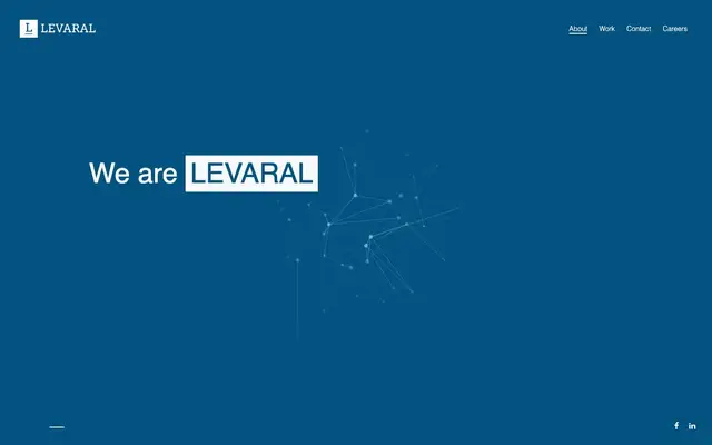 Levaral Softwares Pvt. Ltd. website