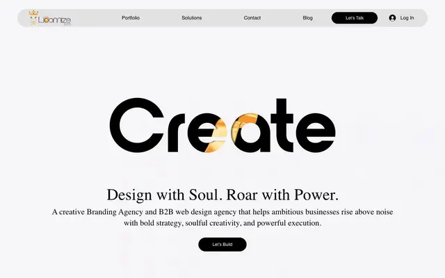 Lioonnize website