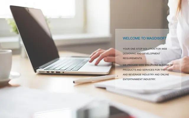 MagDiSoft Solutions LLP website