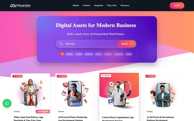 Meander Software Private Limited website