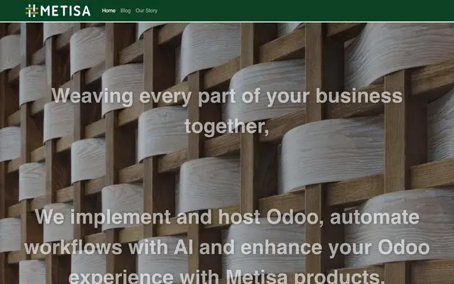 METISA SOLUTIONS PVT LTD website