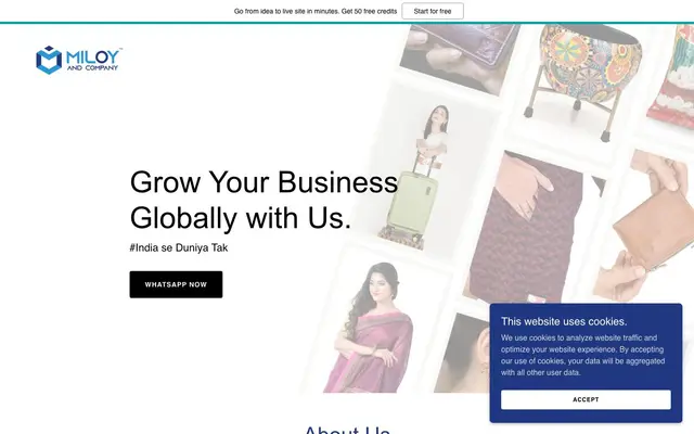 Miloy Mallick website