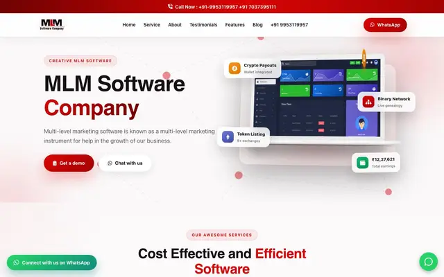 MLM Software Developer in Delhi website