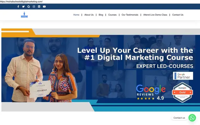 Mohali School of Digital Marketing website