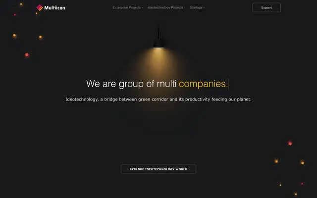 Multiicon website