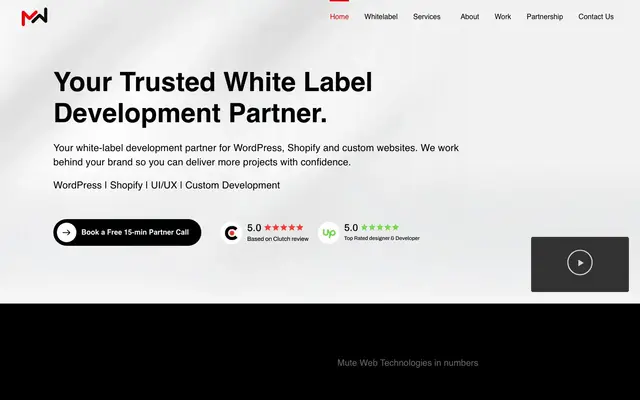 Mute Web Technologies | Software development company website