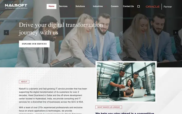 Nalsoft (P) LTD website