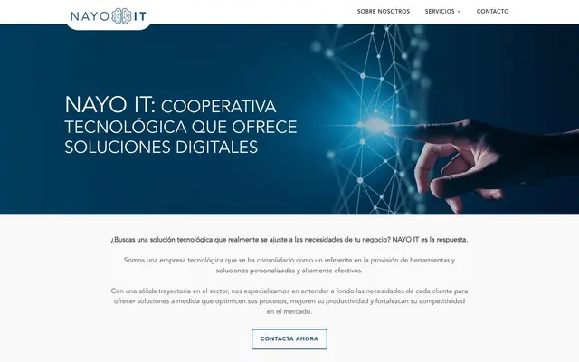 NAYO IT Soluciones Informáticas website