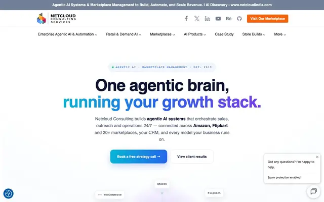 Netcloud Consulting: Premier Ecommerce Marketplace… website