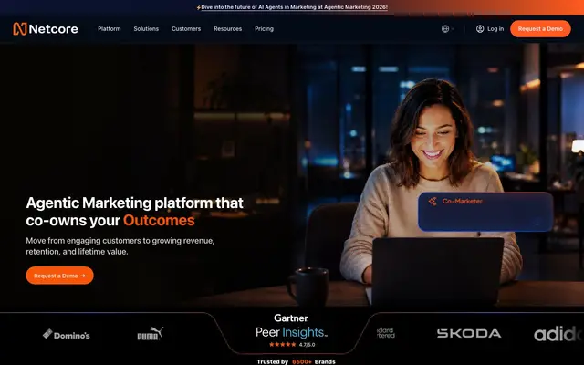 Netcore Pvt Ltd website