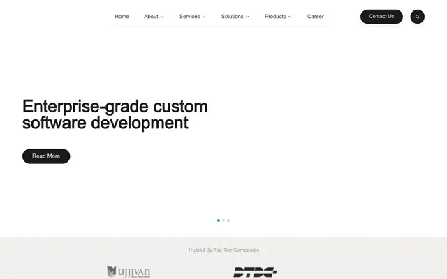 Netiapps Software Pvt Ltd website
