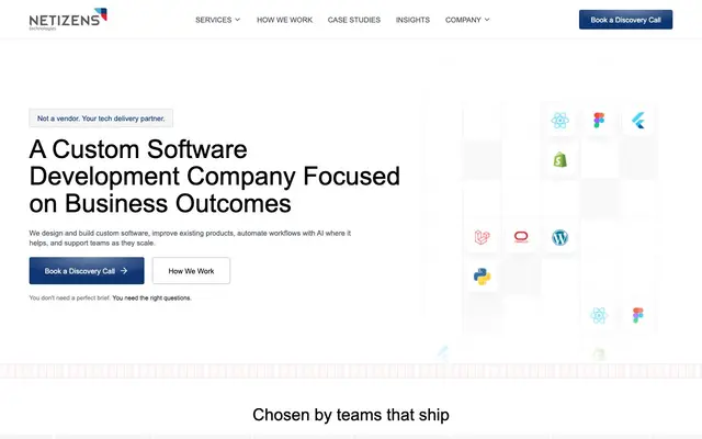 Netizens Technologies website