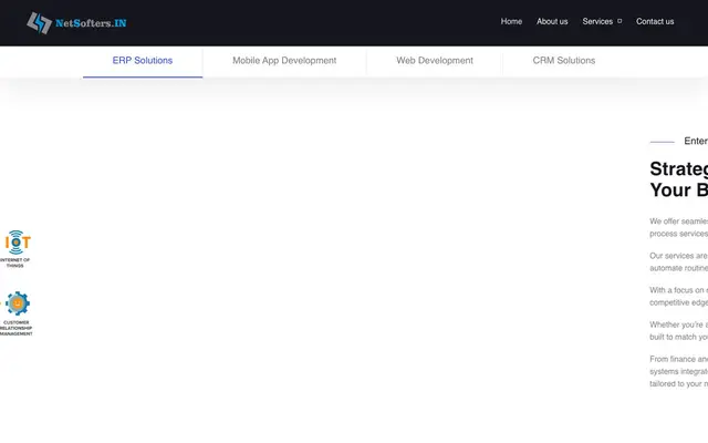 NetSofters LLP website