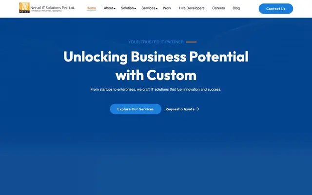 Netsol IT Solutions Pvt. Ltd. website