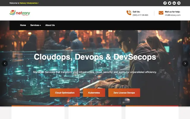 Netzary Infodynamics website