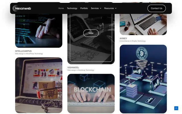 Nexonweb Solution website