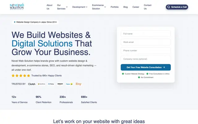 Novel Web Solution website